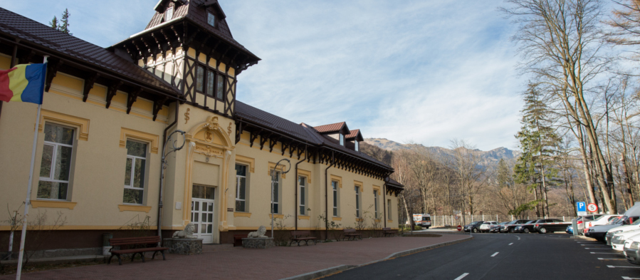 Acces spital